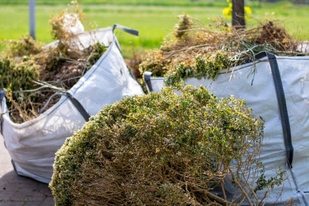 Best Moving and Downsizing Cleanouts  in Garden City, MI