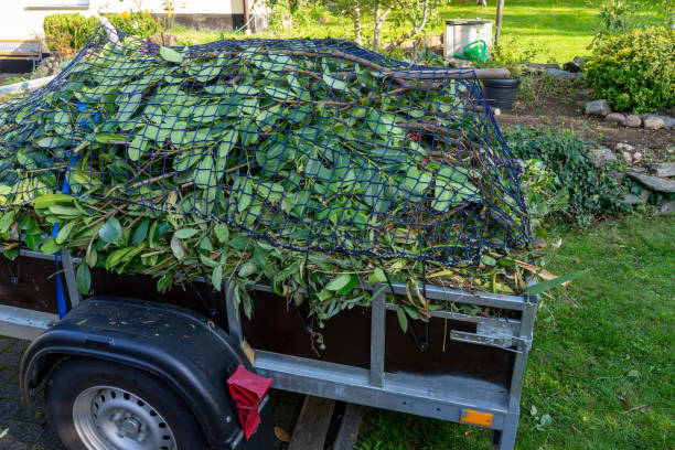 Best Yard Waste Removal  in Garden City, MI